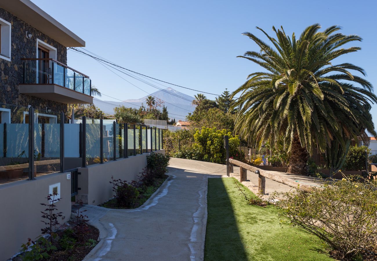 Apartment with sea and Teide mountain view in North Tenerife  Apartment with sea and Teide mountain view in North Tenerife